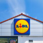 Lidl, dalla friggitrice Moulinex alla macchina per zucchero filato: tutte le offerte cucina dal 9 febbraio Offerte Lidl della settimana utili in cucina