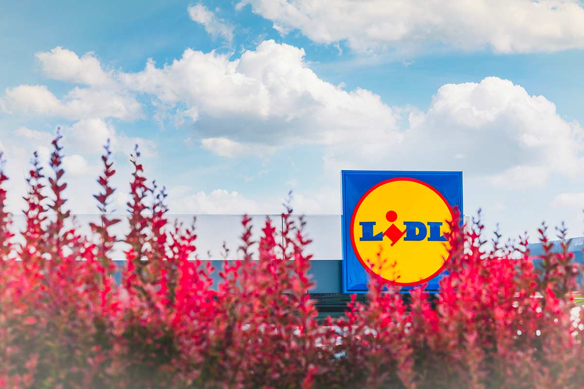 Lidl, le offerte piante dal 2 marzo 2026