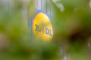 Offerte Lidl piante e fiori lunedì 9 febbraio 2026