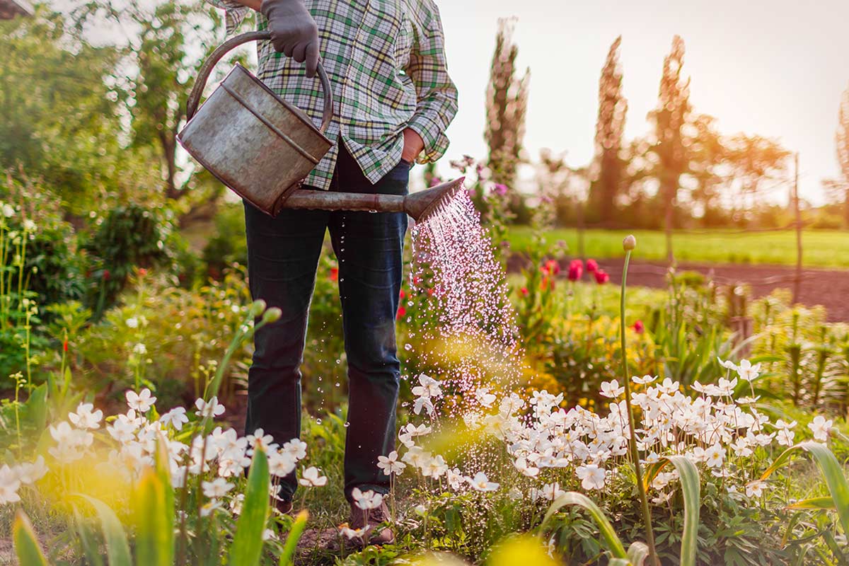 Annaffiare il giardino a fine inverno