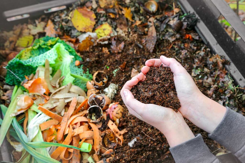 Compost domestico per i fiori da esterno: come utilizzare gli scarti invernali per nutrire il terreno