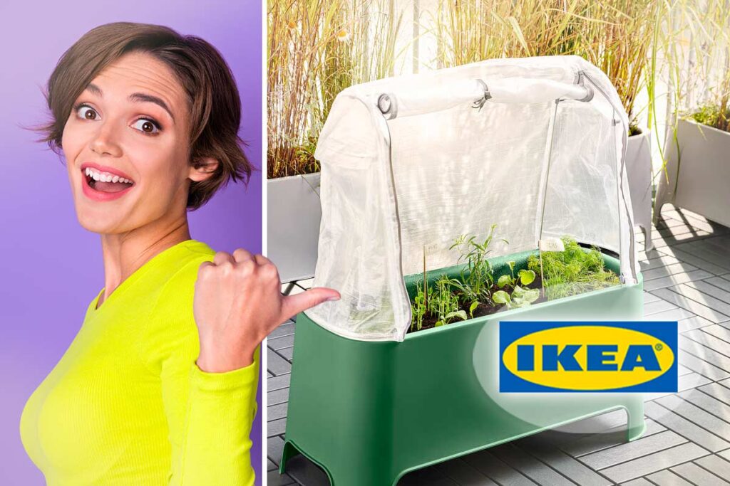 Coltivare aromatiche sul balcone senza rischi: perché scegliere la protezione semitrasparente IKEA Asparen