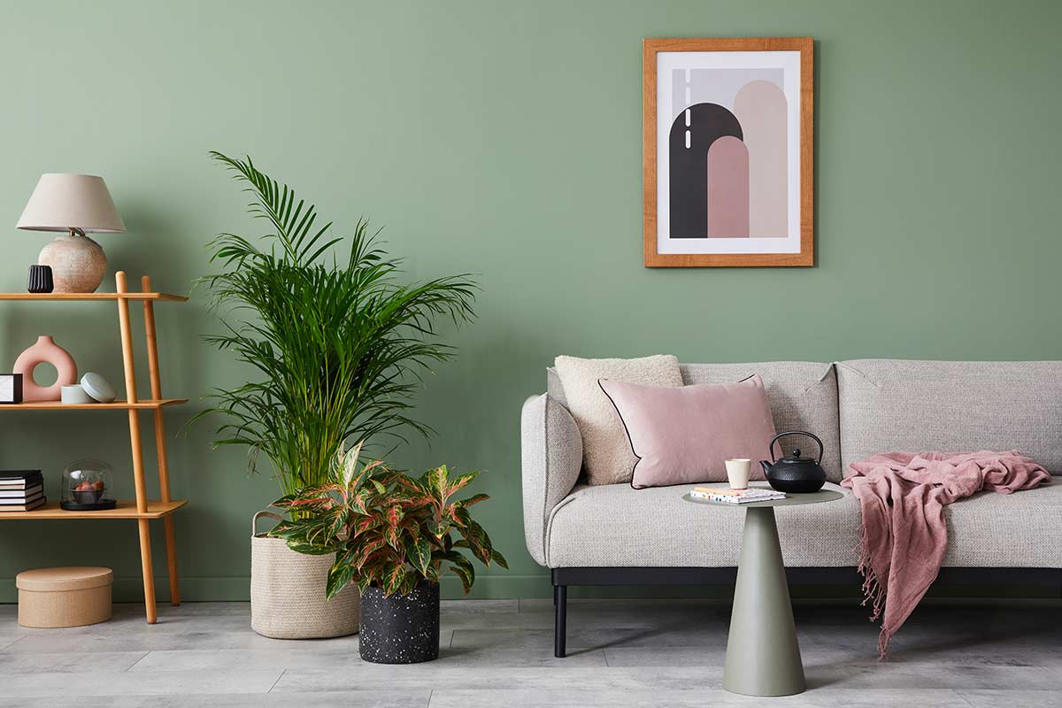 Salotto minimalista con parete verde salvia, divano grigio chiaro, piante e dettagli rosa cipria.