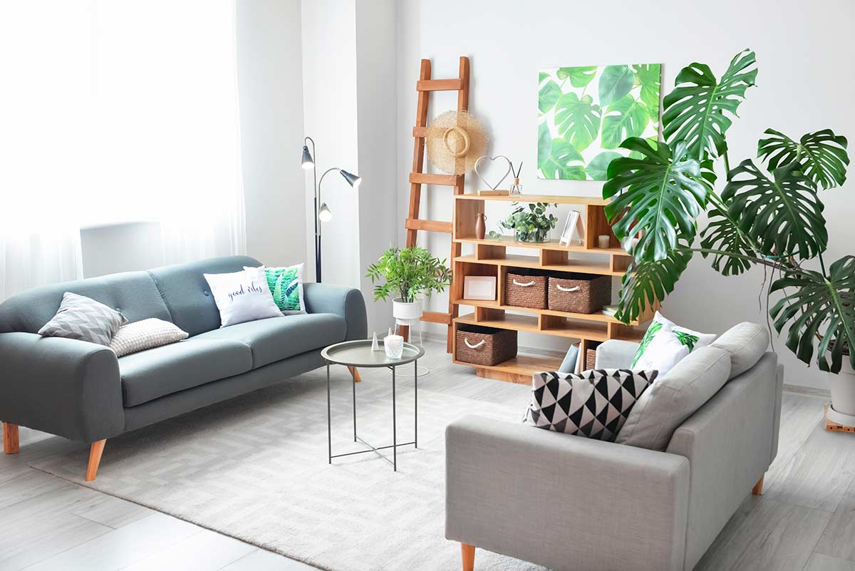 Salotto minimalista chiaro con divani grigi, molte piante verdi e mobili in legno naturale.