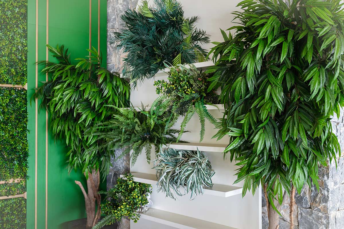 come raggruppare le piante per creare un microclima naturale