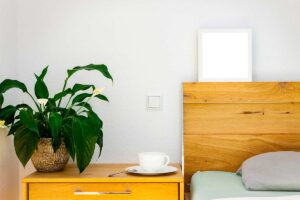 Spathiphyllum e Sansevieria piante purificanti per la camera da letto