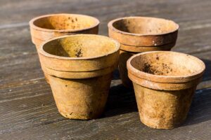 Rinnovare i vasi di terracotta