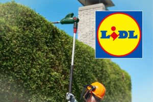 Tagliasiepi Parkside da Lidl