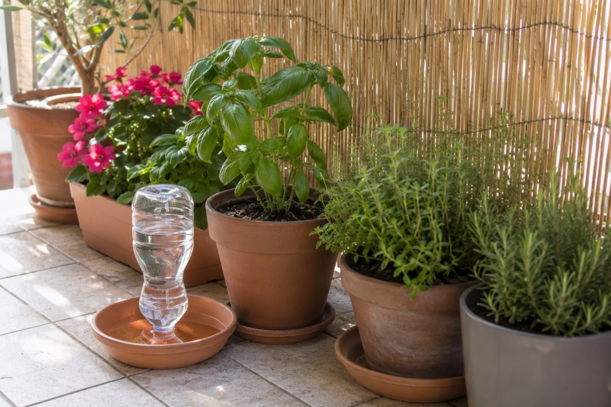 Sistema di irrigazione lenta per piante da balcone durante le vacanze