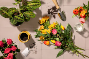 Assortimento di piante e fiori presentato da Lidl