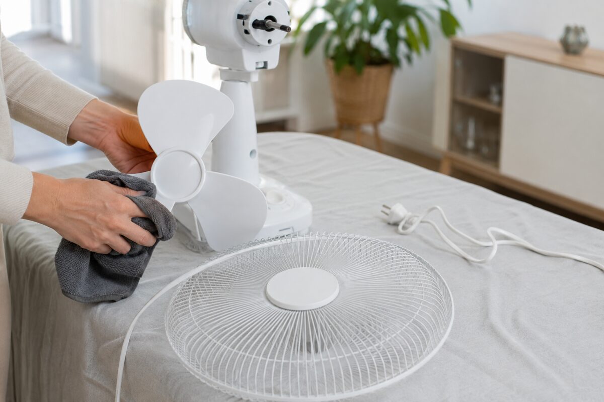 Pale e griglia del ventilatore asciugate prima del rimontaggio
